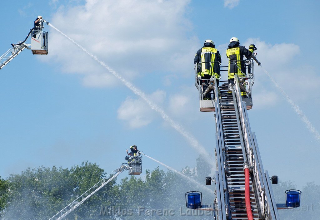 Feuer Koeln Ossendorf Butzweiler Hof neben IKEA P194.JPG